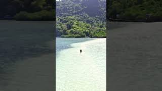 Snake Island Brazil  Ilha da Queimada Grande [upl. by Chura]