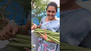 Ma Amma Cheti Vanta  Munakaya Pachadi Recipe shorts trending foodie [upl. by Nnylsor]