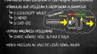 Fórmulas para estimar a funcao renal [upl. by Amend]