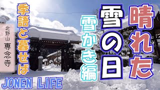 【季語と暮らせば】晴れた雪の日 雪かき編 ♯俳句 ♯季語 [upl. by Ruella]