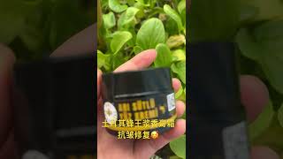 土耳其好用护肤品之蜂王浆香膏面霜 抗皱修复干枯肌肤注入新肌能量 伊斯坦布尔 土耳其旅游 skincare 🐝 [upl. by Abert]