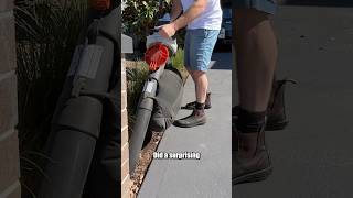 Do you hate raking leaves This may be for you Stihl SHA56 Shredder Vac Blower [upl. by Notxarb]