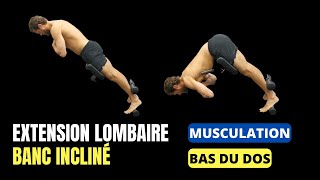 BAS du DOS Exercice musculation  Extension lombaire banc incliné   Musculation DOS [upl. by Qiratla805]