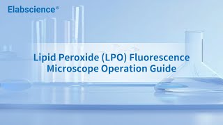 Lipid Peroxide LPO Fluorescence Microscope Operation Guide [upl. by Bautram]