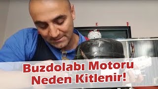 Buzdolabınız Soğutma Yapmıyorsa Bunun Bir Nedeni de Bu Olabilir Buzdolabı Motoru Neden Kitlenir [upl. by Cornelle]