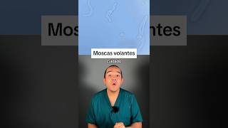 El peligro de ver MUCHAS MOSCAS VOLANTES moscasvolantes medicina shorts [upl. by Aeikan]