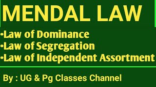 Mendel law of inheritance notes  all 1st 2nd 3rd law [upl. by Louise359]