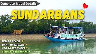 Sundarban Tour  Sundarban Vlog  Sundarban Tour Package Hindi  Sundarban Delta sundarban [upl. by Ihsir]