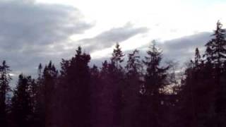 Great Horned Owl call  Whidbey Island Wa [upl. by Lewis]