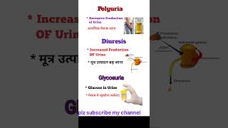 Medical Terminologypolyuria  DiuresisGlycosuriaMedical Terms short vedeo [upl. by Sisson]