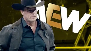 John Bradshaw Layfield JBL Addresses Potential Appearance in AEW [upl. by Oiramat]