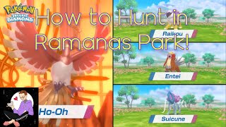 HOW TO SHINY HUNT IN RAMANAS PARK All the Legendaries Pokemon BDSP [upl. by Weiner538]