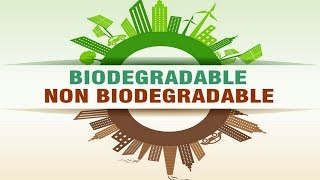 Biodegradable and Nonbiodegradable [upl. by Ferd]