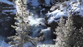 A Winter Yellowstone Tour From Tauck [upl. by Naujek158]