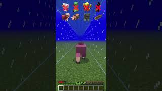 Water Damage vs Different Mobs meme shorts minecraft [upl. by Enylcaj686]