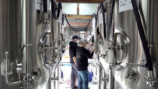 Process of Making Craft Beer Korean Countryside Brewery [upl. by Hera]