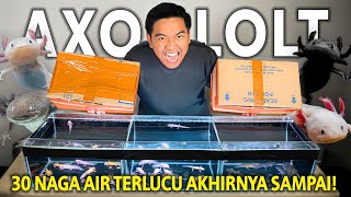 UNBOXING 30 NAGA AIR SEKALIGUS SEMUA WARNA KITA BORONG AXOLOTL INI LUCU BANGET [upl. by Assi]