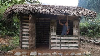 Primitive Technology Hut  Full video PrimitiveSkills [upl. by Sanfred]