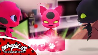 Miraculous Ladybug Season 7 Tikki and Plagg Creates a New Miraculous from their Miraculouses ❤️😱 [upl. by Andrei]