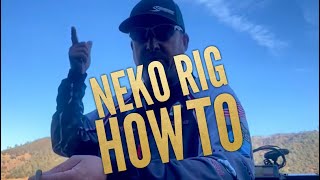 Pro Talk How Bassmaster Elite Series Pro Randy Pierson rigs the NEKO RIG [upl. by Serafina]