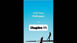 11  Petit Pays  Gael Faye  aide à la lecture  Chapitre 11 [upl. by Sudnor]