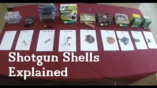 Shotgun Shells Explained [upl. by Edgell377]