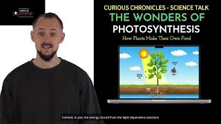 The Wonders of Photosynthesis How Plants Turn Sunlight into Life  The Science of Plant Energy [upl. by Ruelle575]