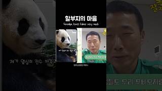 푸바오를 생각하는 할부지의 마음 Grandpa loves Fubao very much 푸바오 판다 힐링 동물 귀여운 사랑스러운 fubao panda cute [upl. by Afrika]