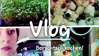 BORSCHTSCH kochen  OBSTSALAT vegan rezepte  Haushalt  Vlog 44  Lulumee Loves ♡ [upl. by Hearsh249]