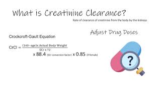 Drug Dosing in Renal Impairment CLAP in 60s with PharmaDoe [upl. by Ayrb873]