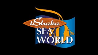 uShaka Marine World Aquarium [upl. by Eessej]