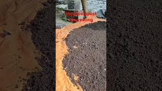 vermicomposting Vermicompost westbengal memari earthworm organicfertilizer [upl. by Wilton]