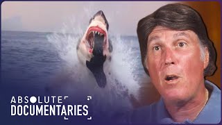 Shark Business Extreme Shark Encounters Unveiled  Blue Realm  Absolute Documentaries [upl. by Morice]