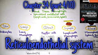 Reticuloendothelial sytem chapter 34 part 4 Guyton and Hall text book of physiology [upl. by Munniks242]