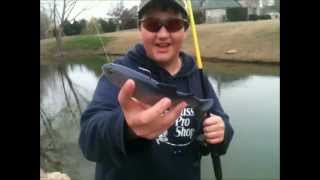 8 inch Huddleston Swimbait Test [upl. by Wilinski708]