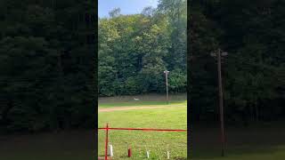 The Running deer target At the Pennsylvania bowhunters festival Forksville PA [upl. by Uzial]