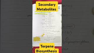 Secondary Metabolites• Biosynthesis of 5 Carbon Unit of Terpene• Acetate Mevalonate Pathway• CSIR [upl. by Nitsug]