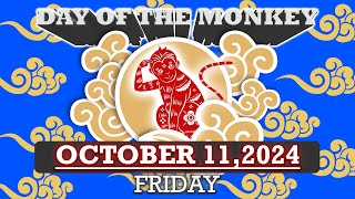 October 11 2024 Friday Day of the Monkey Best colors Coffee brown [upl. by Castra]