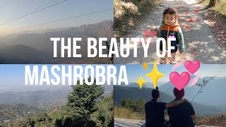 Exploring the beauty of Mashobra✨💖VLOG16  HSK Vines [upl. by Rema]