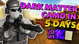 I unlocked the DARK MATTER CAMO on Black Ops 6 in 5 DAYS [upl. by Haraj]