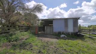 SOLD  77 Kahikatea Flat Road Dairy Flat  Pauline Bunker [upl. by Sirref]