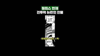 원피스 현재 전투력 논란인 ‘인물’ [upl. by Nnayram]