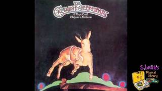 Captain Beefheart amp The Magic Band quotBluejeans amp Moonbeamsquot [upl. by Gerick]