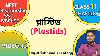 Plastids in BengaliTypes of plastid  ChloroplastLeucoplastChromoplast in Bengali Class11 NEET [upl. by Di]