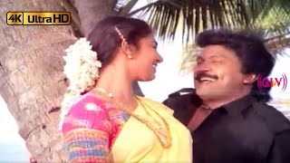 அந்தியில வானம் தந்தனத்தோம் போடும் பாடல்  Andhiyile Vaanam song  Swarnalatha Mano  Chinnavar [upl. by Alekat307]