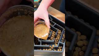 Dog Food Enrichment Food Bowl Muenster Pet [upl. by Reese]