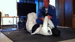 Submission master grappling dummy review [upl. by Mcclenon]