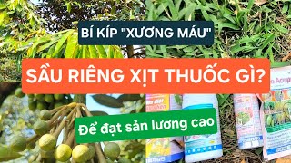 Sầu riêng xịt thuốc gì Các loại trị rầy dưỡng bông già lá quotRẺ TIỀN  HIỆU QUẢquot  Trạm Nông Nghiệp [upl. by Gautious]