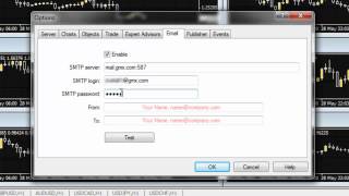 How to Setup the Email and Text function in MT4 [upl. by Alyakem]