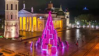 Vilnius Christmas tree 2020 construction timelapse [upl. by Ayomat118]